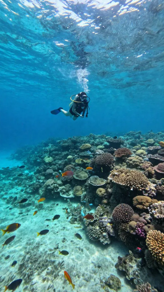 Warm Ocean Temperatures for May Explorers