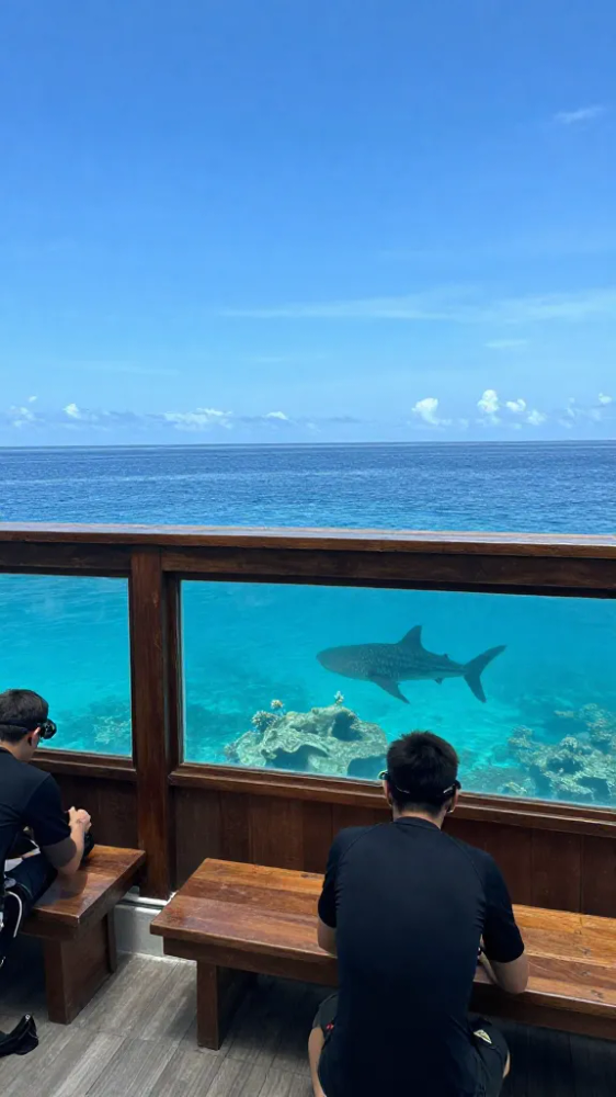 Nusa Penida Mola Mola Sightings in July