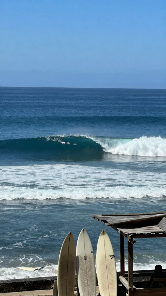 Best Time To Visit Bali For Surfing: 5 Essential Months for Surfing Bali Waves 5 August for World Class Barrel Hunting