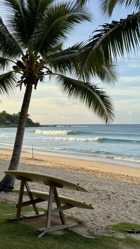 Best Time To Visit Bali For Surfing: 5 Essential Months for Surfing Bali Waves 7 October Winds Shift for East Coast Breaks