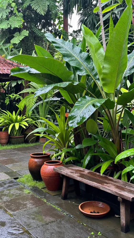 Mosquitoes Are More Active Near Standing Water