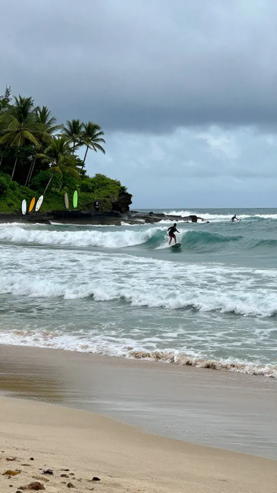 Best Time To Visit Bali For Surfing: 5 Essential Months for Surfing Bali Waves 9 December Provides Hidden Rainy Season Gems