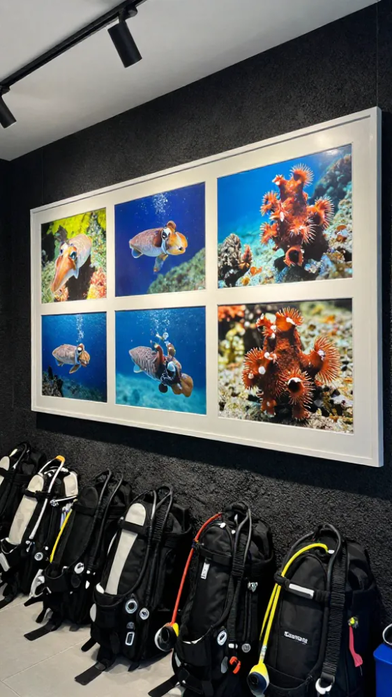 Wet Season Macro Photography in January