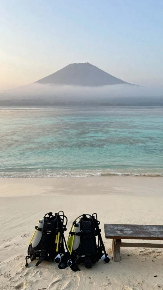 Quiet Reefs and Low Prices in December