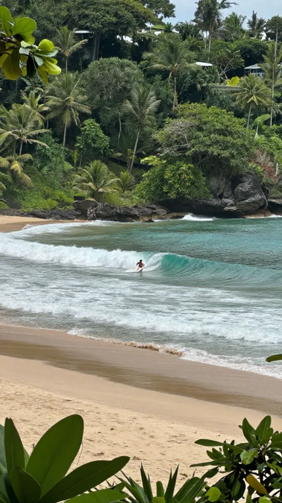 January for warm temperatures and surfing