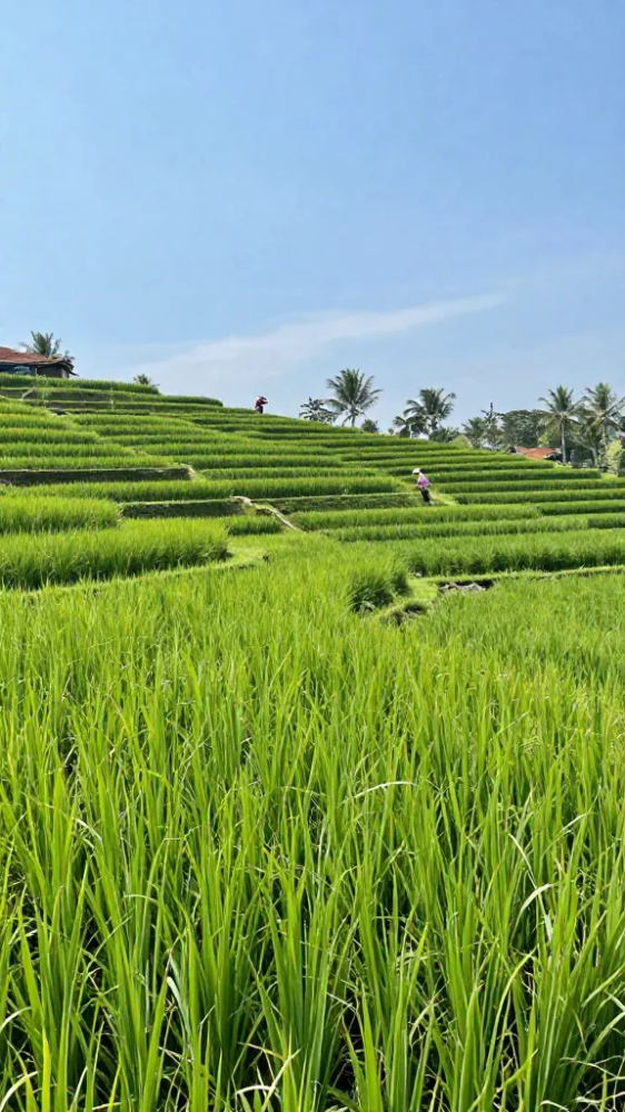 Early May Before Summer Tourists Arrive