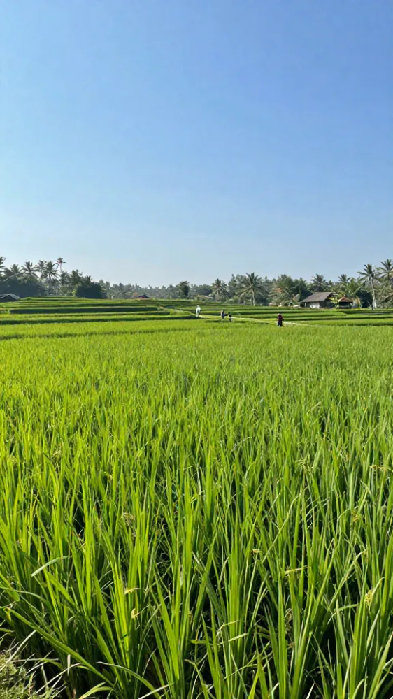 Late September As High Season Ends