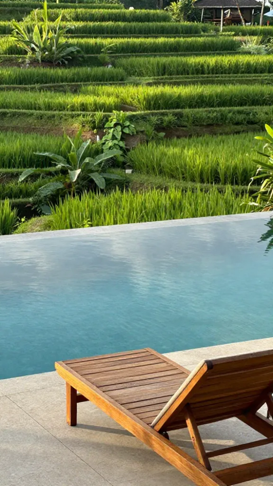 Late November Before Holiday Prices Rise