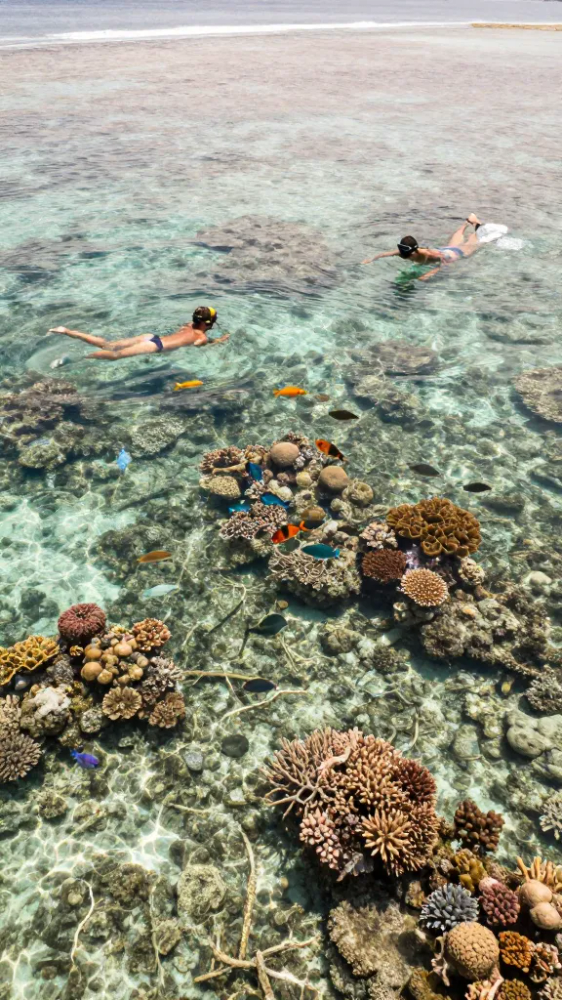 Clear water for snorkeling and diving