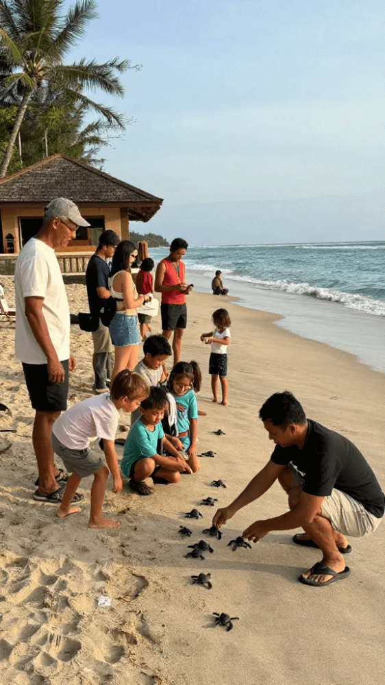Sea Turtle Release at the Conservation Center