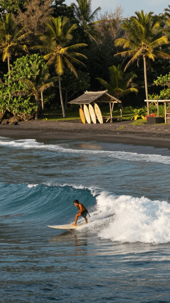 Secret Surf Breaks Near the Airport