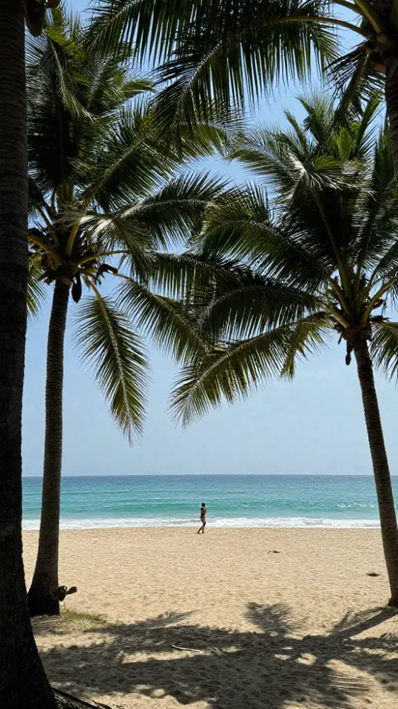 Palm Tree Frames for Tropical Vibes
