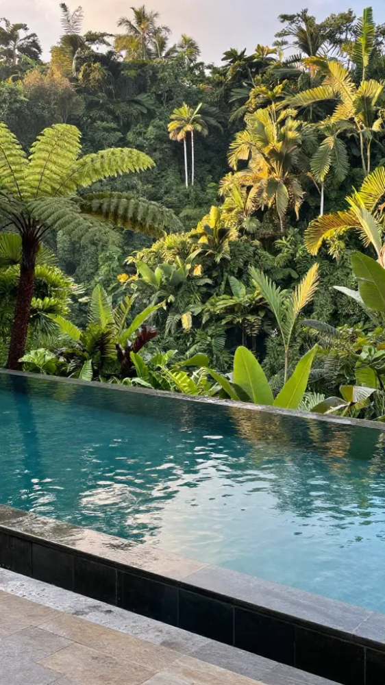 Infinity Edges With Jungle Views