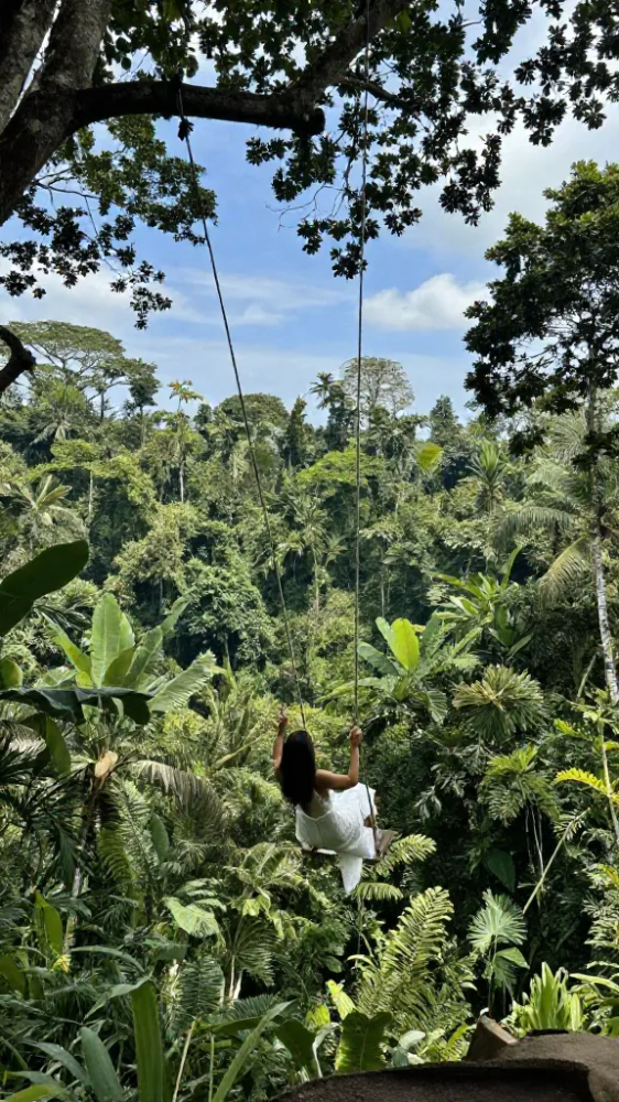 Swing High Above the Jungle Canopy