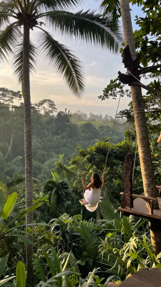 Sun-Drenched Jungle Swings Over the Canopy